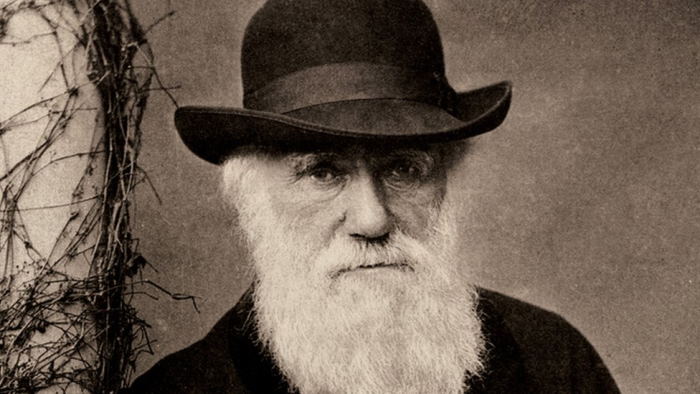 Генетики продолжают опровергать тезисы теории Дарвина