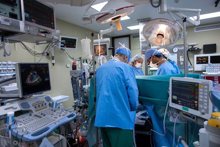 В США успешно проведена операция по пересадке свиного сердца человеку