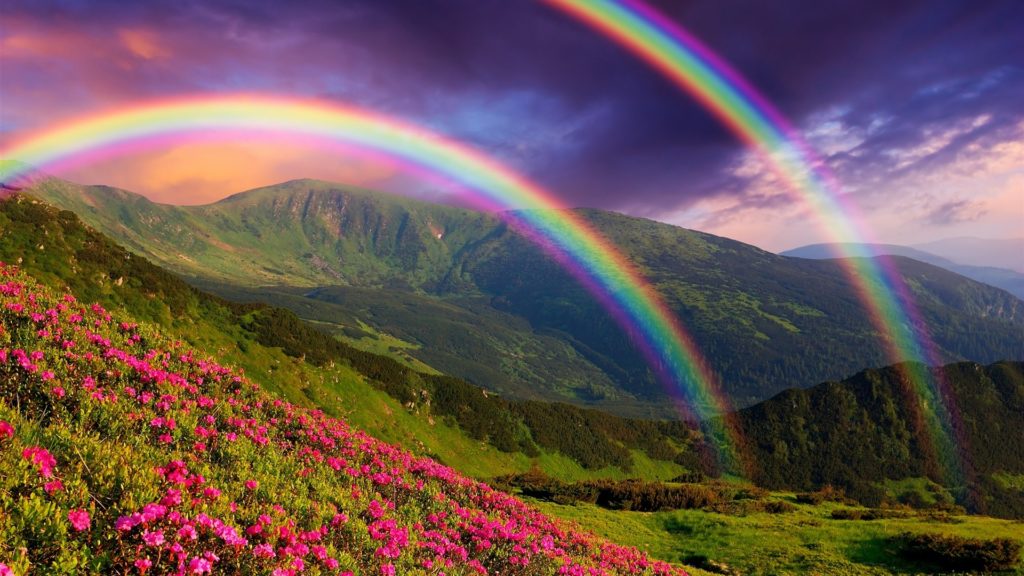 Увидеть радугу: толкование примет и суеверий, связанных с разноцветной дугой